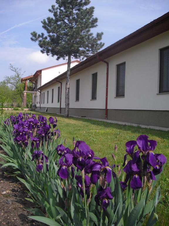 Anna Panzio Hotel Dunavarsány Eksteriør billede